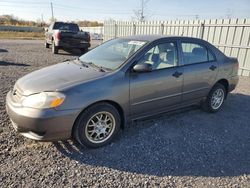 Salvage cars for sale at Ottawa, ON auction: 2004 Toyota Corolla CE