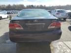 2005 Lexus ES 330