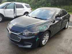 Salvage cars for sale at Riverview, FL auction: 2017 Chevrolet Malibu LT