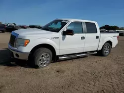 Vehiculos salvage en venta de Copart Davison, MI: 2009 Ford F150 Supercrew