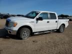 2009 Ford F150 Supercrew