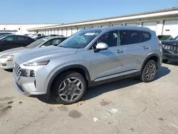 Salvage cars for sale at Louisville, KY auction: 2023 Hyundai Santa FE Limited