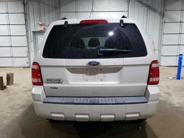 2008 Ford Escape XLT