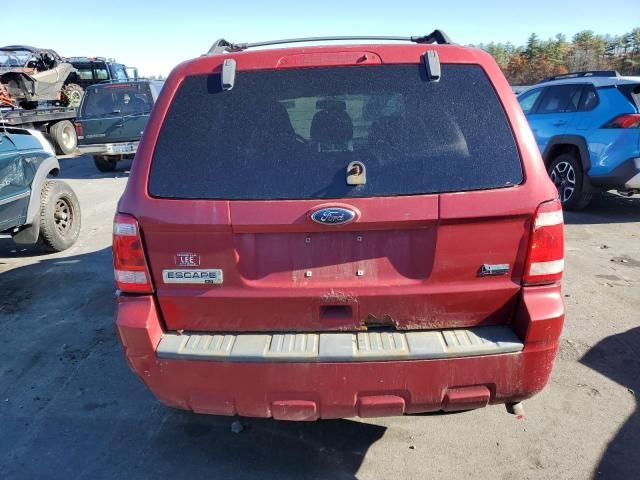 2010 Ford Escape XLT