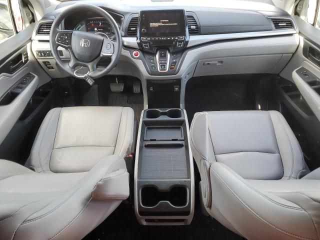 2024 Honda Odyssey EXL