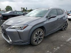 Vehiculos salvage en venta de Copart Van Nuys, CA: 2019 Lexus UX 250H