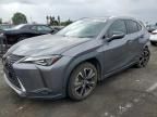 2019 Lexus UX 250H