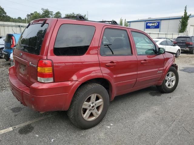 2006 Ford Escape HEV