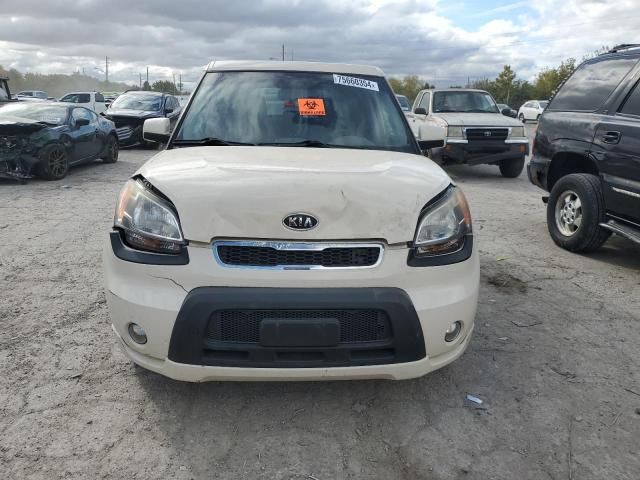 2011 KIA Soul +