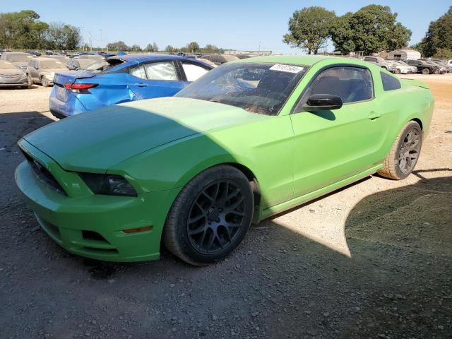 2013 Ford Mustang