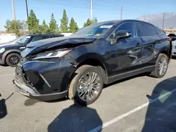 Toyota Venza salvage cars for sale: 2024 Toyota Venza LE