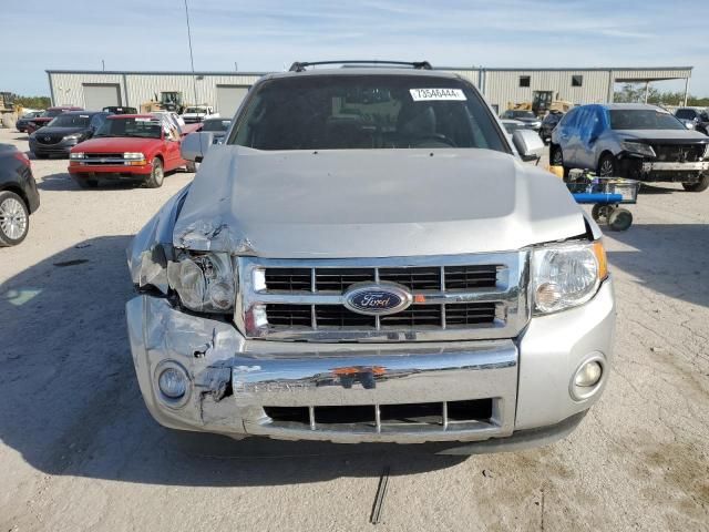 2011 Ford Escape Limited