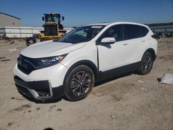 2022 Honda CR-V EXL en venta en Earlington, KY