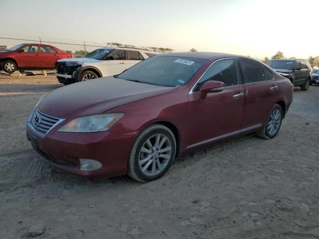 2010 Lexus ES 350