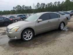 Salvage cars for sale from Copart Harleyville, SC: 2004 Nissan Maxima SE