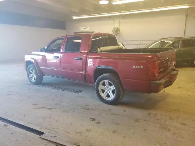 2008 Dodge Dakota SXT