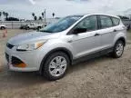 2014 Ford Escape S