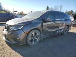 2019 Honda Odyssey EX en venta en Bowmanville, ON