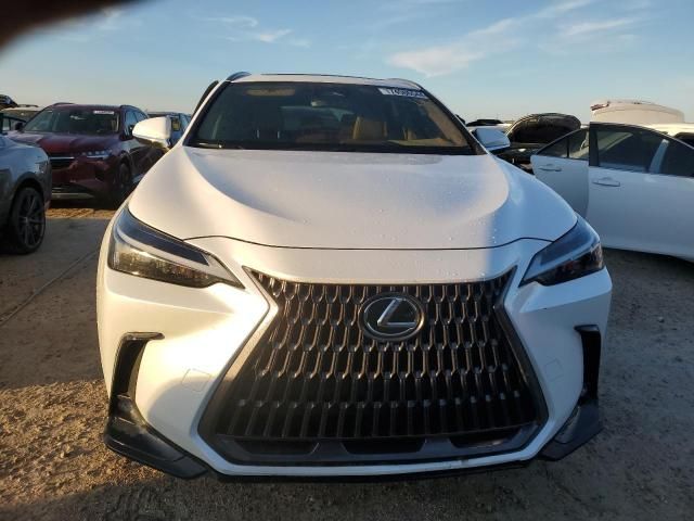 2024 Lexus NX 350H Base