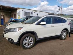 Salvage cars for sale at New Britain, CT auction: 2013 Honda CR-V EXL