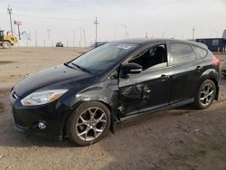 Salvage cars for sale at Greenwood, NE auction: 2014 Ford Focus SE