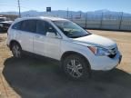 2010 Honda CR-V EXL