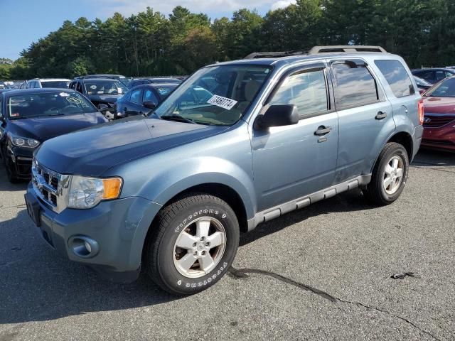 2011 Ford Escape XLT