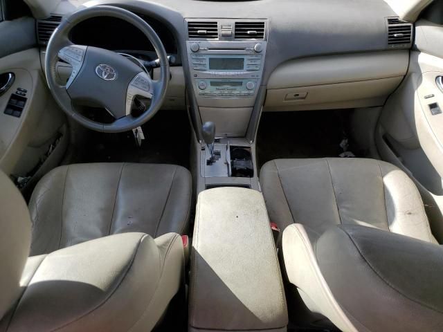 2009 Toyota Camry Hybrid