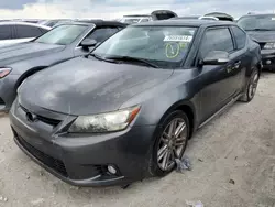 Salvage cars for sale at Arcadia, FL auction: 2012 Scion TC