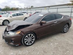 Salvage cars for sale at Walton, KY auction: 2013 Honda Accord EXL