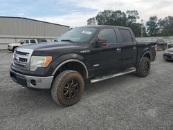 Ford salvage cars for sale: 2013 Ford F150 Supercrew