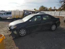 Toyota Corolla Vehiculos salvage en venta: 2009 Toyota Corolla Base