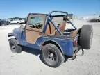 1981 Jeep Jeep CJ5