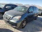 2006 Honda Odyssey EX