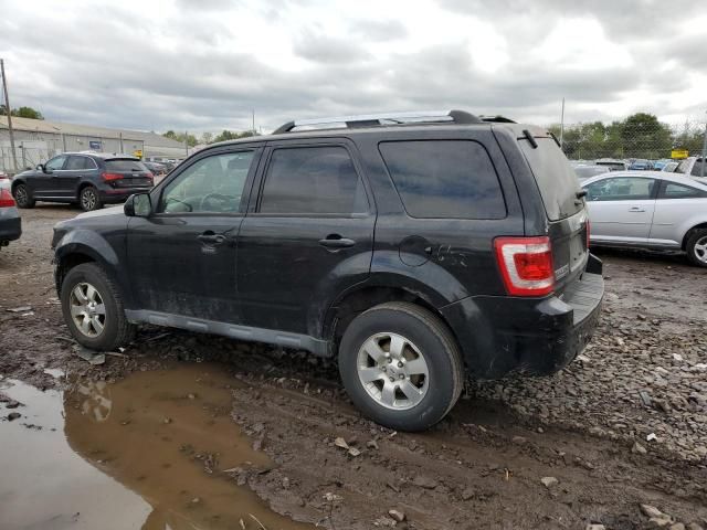 2012 Ford Escape Limited