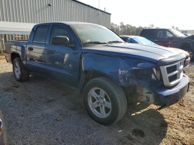 2008 Dodge Dakota SXT