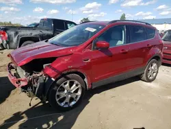 Salvage cars for sale at Woodhaven, MI auction: 2014 Ford Escape SE