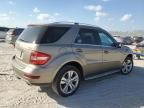 2009 Mercedes-Benz ML 350