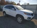 2011 KIA Sorento Base