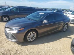 Salvage cars for sale at Arcadia, FL auction: 2024 Toyota Camry LE