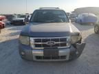 2008 Ford Escape HEV