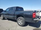 2006 Dodge Dakota Quad SLT