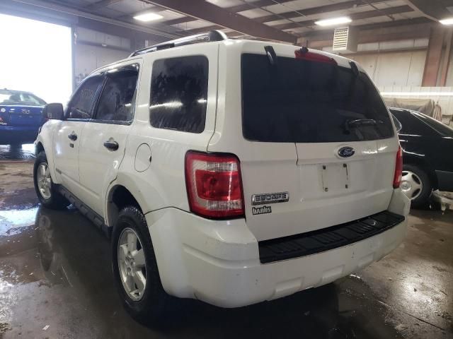 2008 Ford Escape XLT