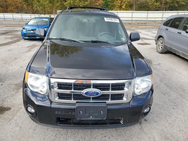 2011 Ford Escape XLT