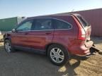 2010 Honda CR-V EXL