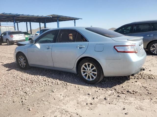 2010 Toyota Camry Hybrid