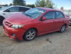 Salvage cars for sale at Finksburg, MD auction: 2013 Toyota Corolla Base