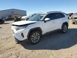 Salvage cars for sale from Copart Amarillo, TX: 2019 Toyota Rav4 XLE Premium