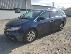 Honda salvage cars for sale: 2014 Honda Odyssey EX