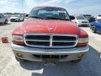 2003 Dodge Dakota Quad SLT